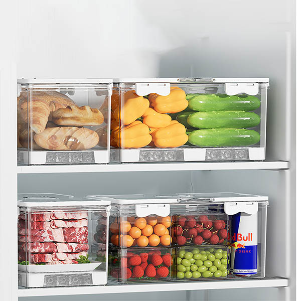 Multi Compartment Refrigerator Storage Box with Handle
