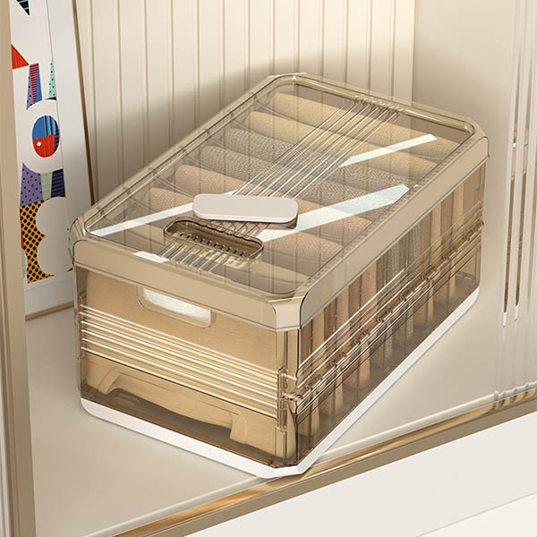 Divided Compartment Clothing Box with Lid