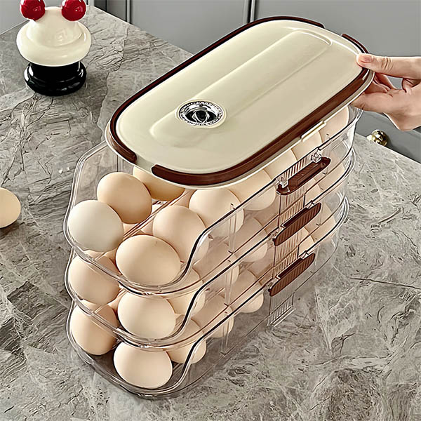 Egg Box with Cover and Dividers