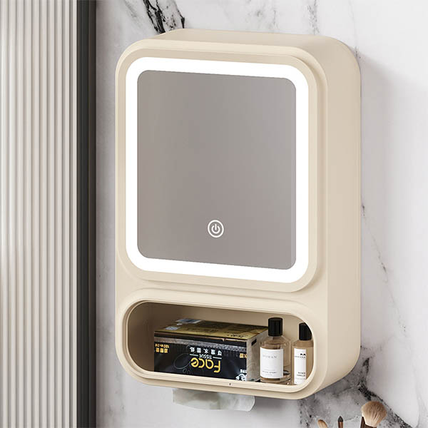 Hanging Cosmetic Box with a Mirror